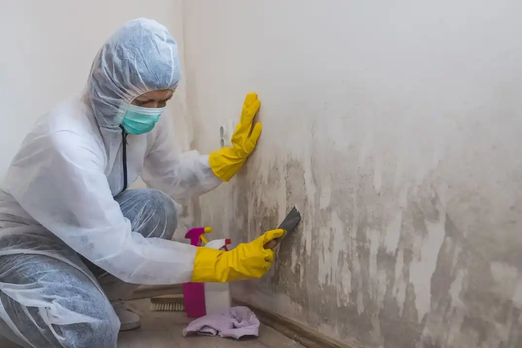 water damage restoration service Cinco Forest